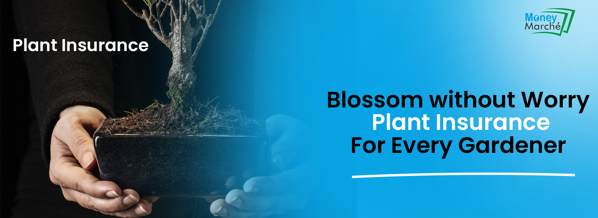 Plant Insurance
